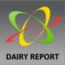 DAIRY REPORT